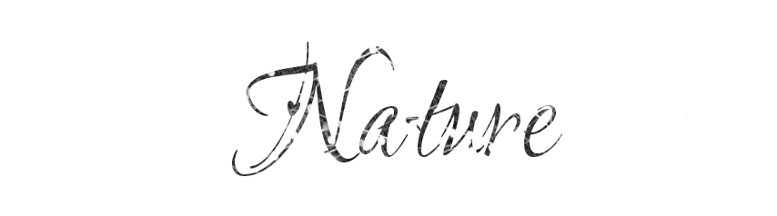 wp-nature.jpg